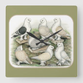 Classic Frill Tauben Satinettes Quadratische Wanduhr (Vorderseite)