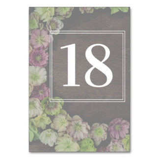 CLASSIC Garden Hellebore Tischnummer