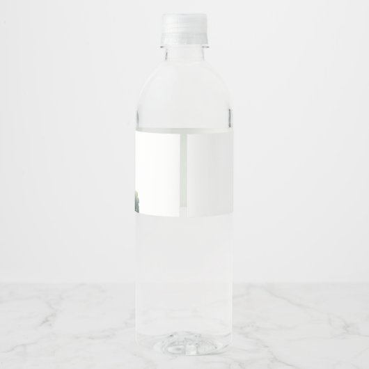 Classic Golf Birthday Party Wasserflasche Etikett (Rückseite)