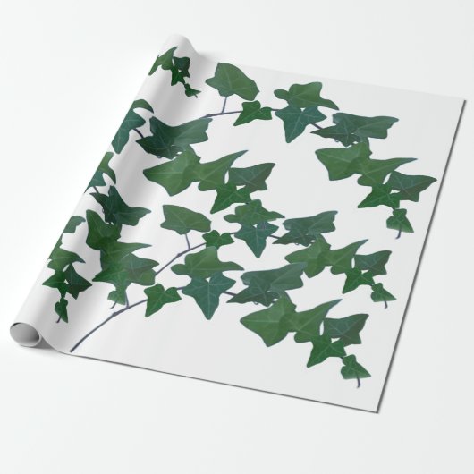 Classic Green English Ivy Geschenkpapier (Ungerollt)