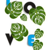 Classic Mug, 11 oz Kaffeetasse