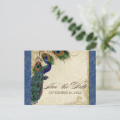 Classic Peacock Feathers Navy Blue Save the Date Ankündigungspostkarte (Stehend Vorderseite)
