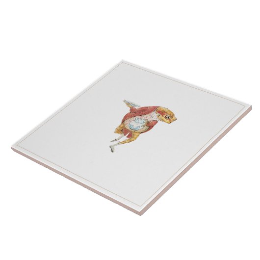 Classic Peter der Rabbit Jeremy Fliese (Seite)