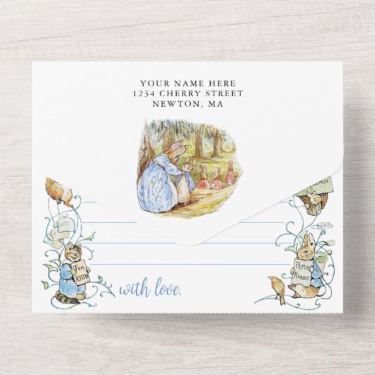 Classic Peter the Rabbit Baby Shower All In One Einladung (Rückseite)