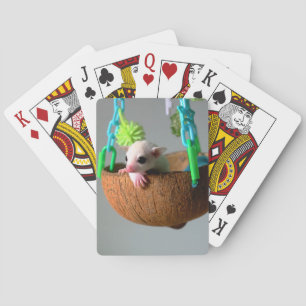 Classic Sugar Glider Playing Cards Spielkarten