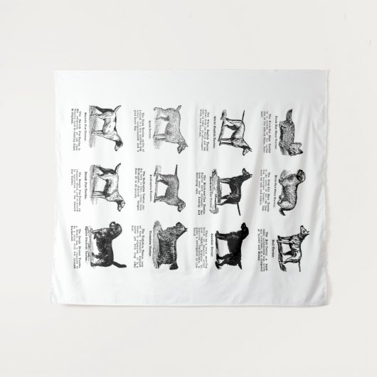 CLASSIC TERRIER DOG BREEDS WANDTEPPICH (Vorderseite (Horizontal))