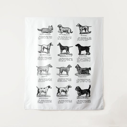 CLASSIC TERRIER DOG BREEDS WANDTEPPICH (Vorderseite)