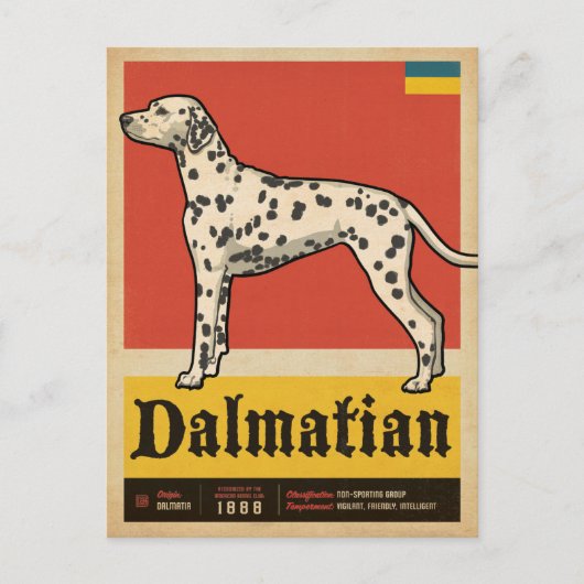 Classic Vintage Dalmation Postkarte (Vorderseite)