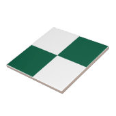 Classic White and Hunter Green Square Box Pattern Fliese (Seite)