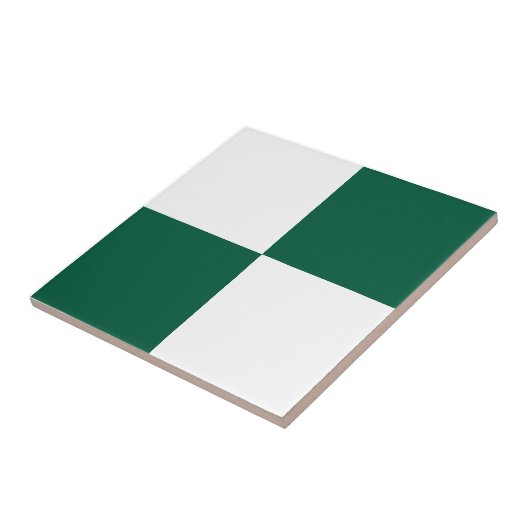 Classic White and Hunter Green Square Box Pattern Fliese (Seite)