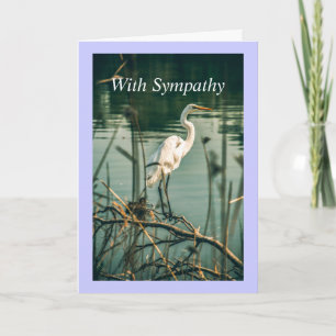 Classic White Egret Shore Bird Naturschutz Karte