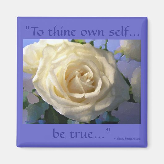 Classic White Magnet (Vorne)