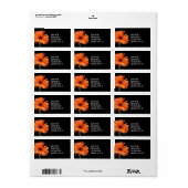 Classy Black & Orange Gerbera Daisy Adressaufkleber (Vorne)