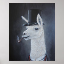 Classy dapper lama in top hut mit rohr