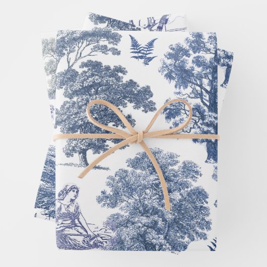 Classy Elegant Blue Country Toile Geschenkpapier Set (Beispiel)