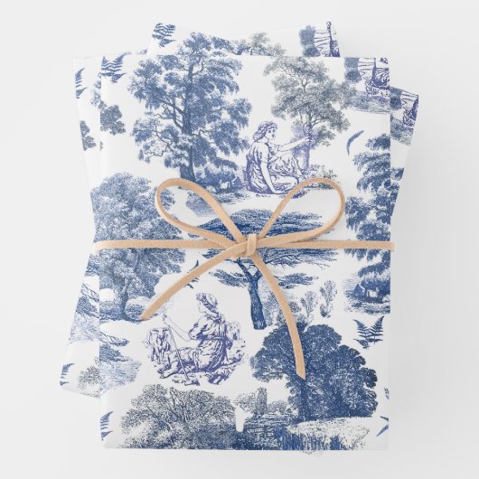 Classy Elegant Rustic Blue Country Toile Geschenkpapier Set (Beispiel)