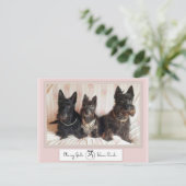 Classy Girls Wear Pearls Postcard Postkarte (Stehend Vorderseite)