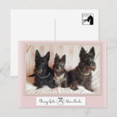 Classy Girls Wear Pearls Postcard Postkarte (Vorne/Hinten)