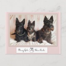 Classy Girls Wear Pearls Postcard