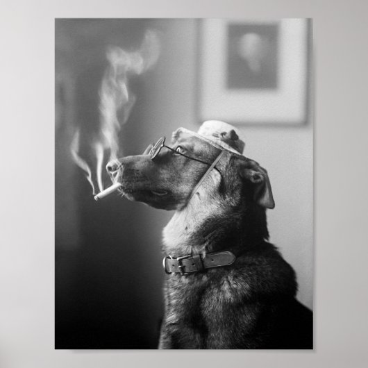 Classy Hund rauchen als Zigarette Poster (Vorne)