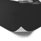 Classy Llama Poster (Ecke)