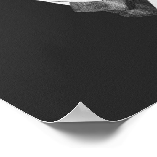 Classy Llama Poster (Ecke)