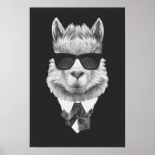 Classy Llama Poster (Vorne)