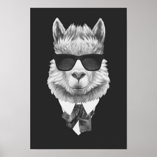 Classy Llama Poster (Vorne)