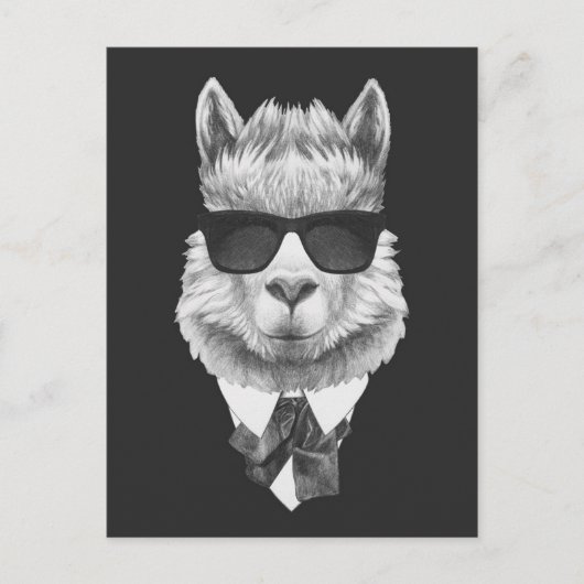 Classy Llama Postkarte (Vorderseite)