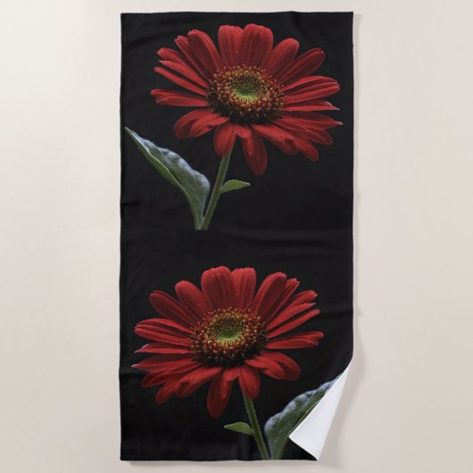 Classy Red Daisy auf schwarz, Strandtuch (Vorderseite)