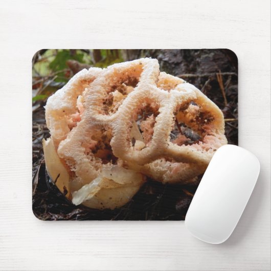 Clathrus ruber Mouse Mat Mousepad (Mit Mouse)