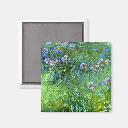 Claude Monet: Agapanthus Magnet (Vorderseite/Rückseite)