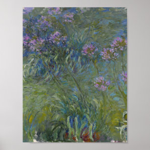 Claude Monet - Agapanthus Poster