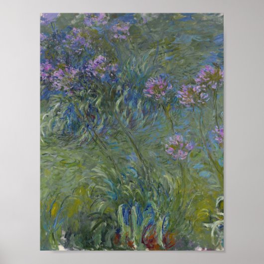 Claude Monet - Agapanthus Poster (Vorne)