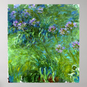 Claude Monet: Agapanthus Poster (Vorne)