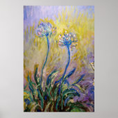 Claude Monet - Agapanthus Poster (Vorne)
