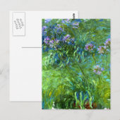 Claude Monet: Agapanthus Postkarte (Vorne/Hinten)