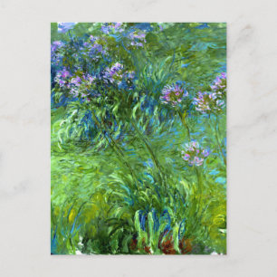 Claude Monet: Agapanthus Postkarte
