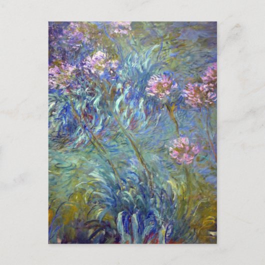 Claude Monet Agapanthus Postkarte (Vorderseite)
