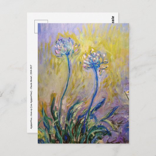 Claude Monet - Agapanthus Postkarte (Vorne/Hinten)