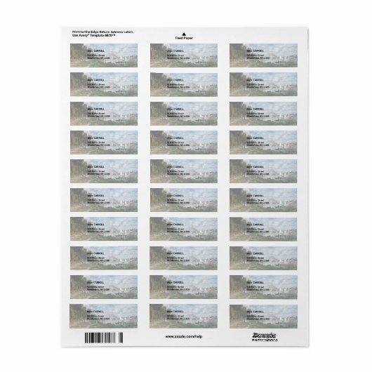 Claude Monet - Das Becken in Argentinien (Vorne)