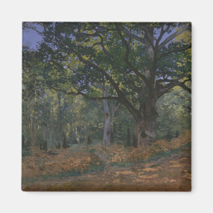 Claude Monet   die Bodmer Eiche, Magnet