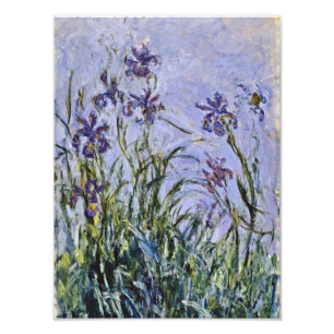 Claude Monet - Iris Mauves Fotodruck
