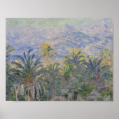 Claude Monet - Palmen in Bordighera Poster (Vorne)