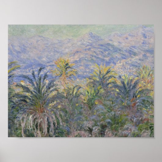 Claude Monet - Palmen in Bordighera Poster (Vorne)