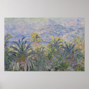 Claude Monet - Palmen in Bordighera Poster