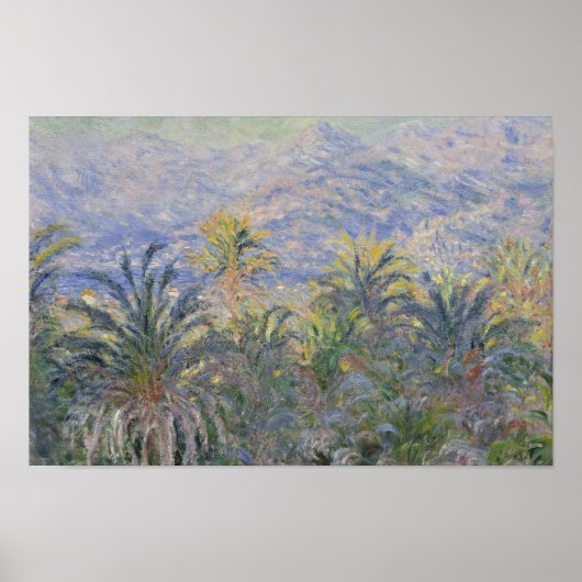 Claude Monet - Palmen in Bordighera Poster (Vorne)
