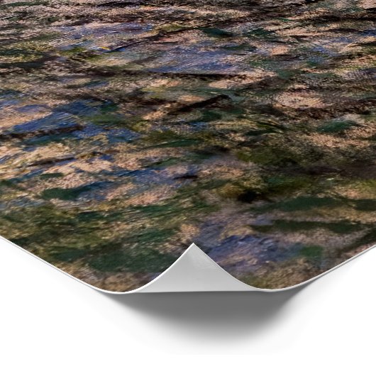 Claude Monet - Springtime durch die Zweige Poster (Ecke)