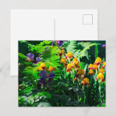 Claude Monet Typ Stilgarten Iris Postkarte (Vorne/Hinten)