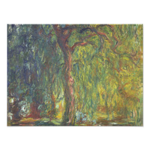 Claude Monet - Weeping Willow Fotodruck
